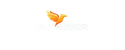 BetWinner